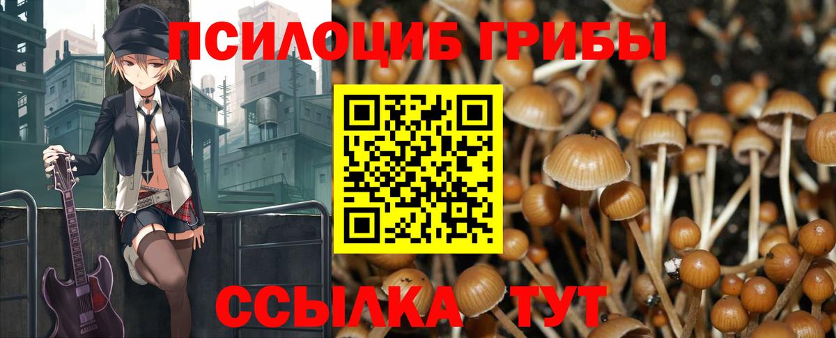 Галлюциногенные грибы Psilocybine cubensis Белорецк