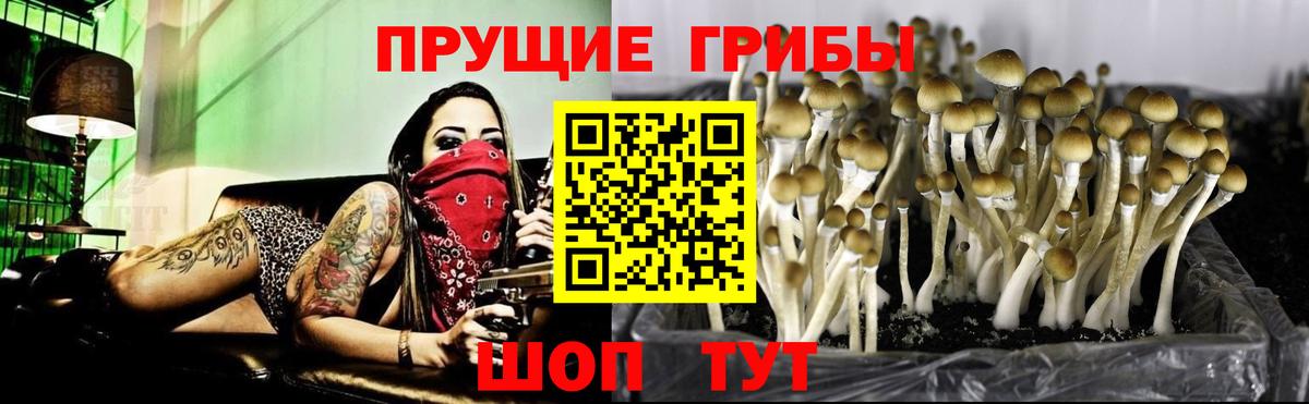 Белорецк  Псилоцибиновые грибы прущие грибы  Вход с VPN 